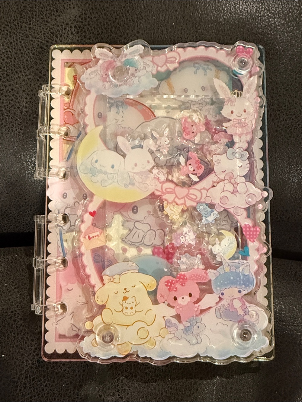 Kawaii Sanrio Acrylic Shaker Journal